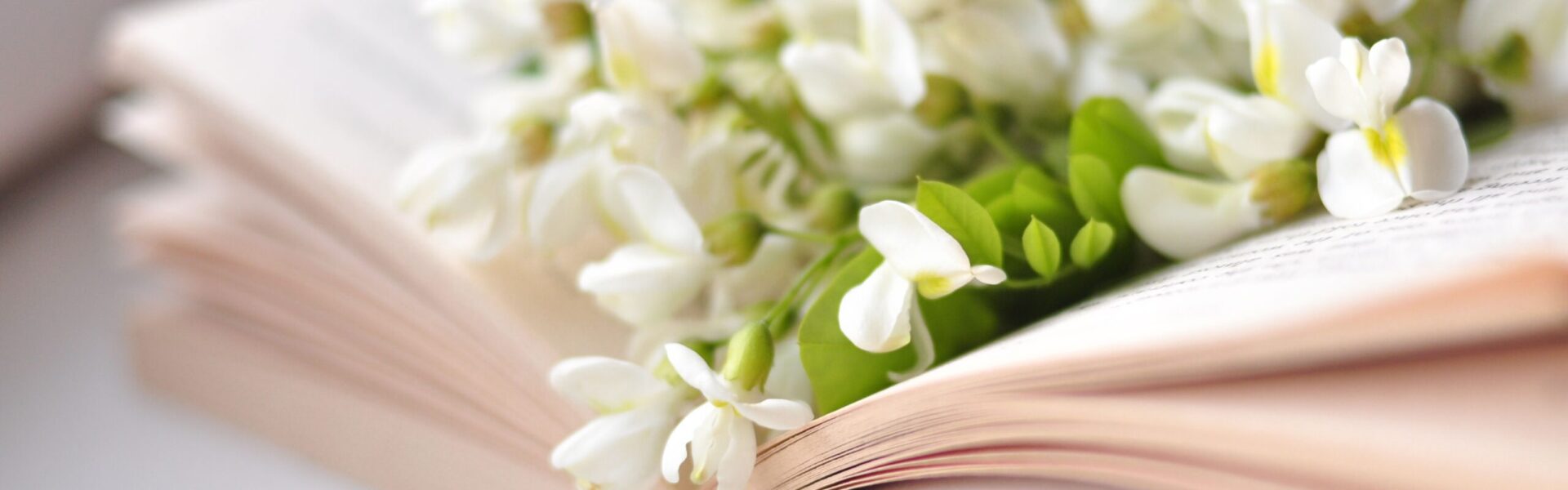 Fleurs blanches et feuillage posés sur un livre ouvert