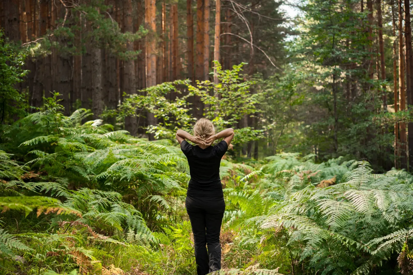 Personne se reposant au milieu d’une forêt